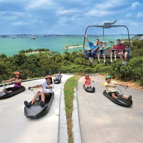 skyline-luge-singapore