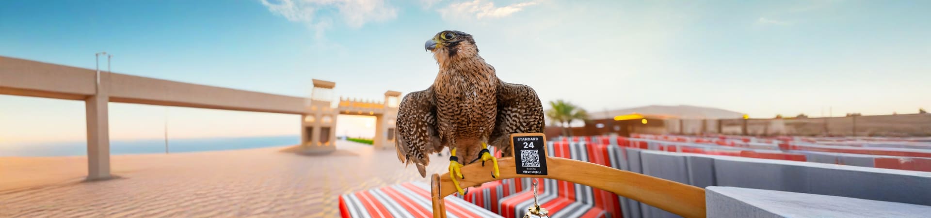 Falcon-image