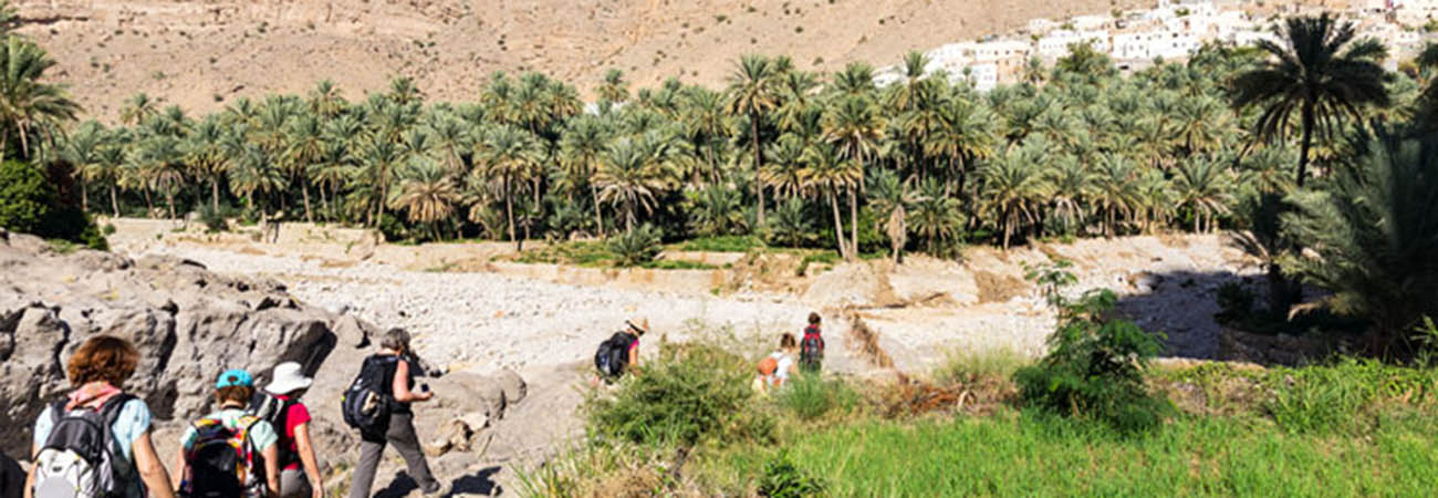 https://d1i3enf1i5tb1f.cloudfront.net/Tour-Images/false-507965/wild-wadi-oman.jpg