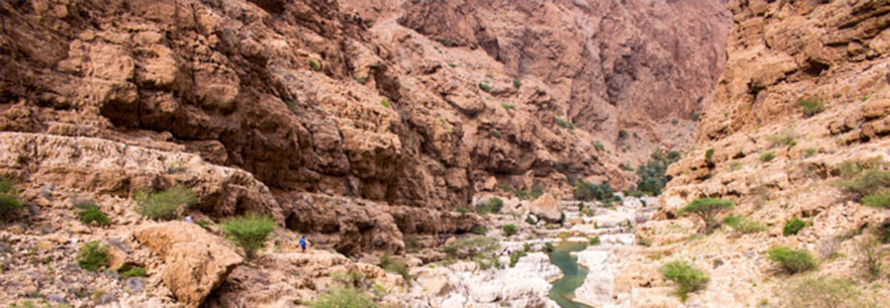 https://d1i3enf1i5tb1f.cloudfront.net/Tour-Images/false-507965/wild-wadi-tour.jpg