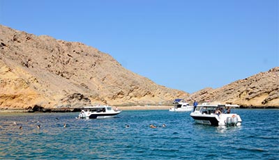 https://d1i3enf1i5tb1f.cloudfront.net/Tour-Images/false-508099/dolphin-watching-&-snorkeling-trips-front.jpg
