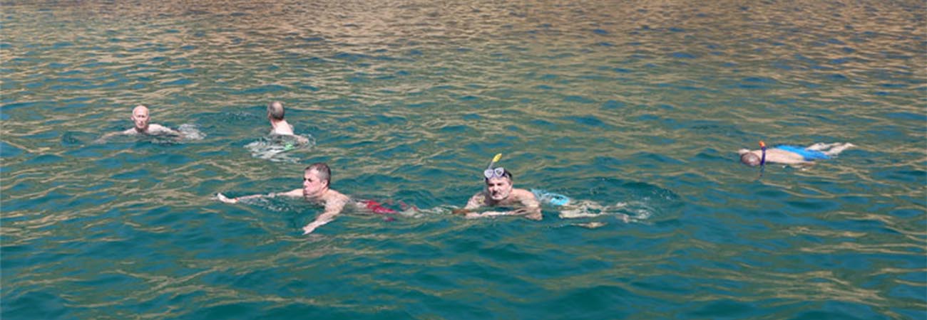 https://d1i3enf1i5tb1f.cloudfront.net/Tour-Images/false-508099/dolphin-watching-&-snorkeling-trips.jpg