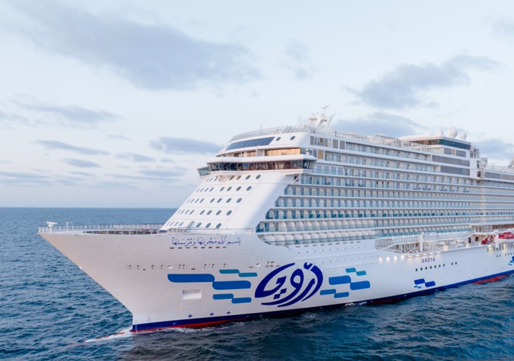 white color cruise ship