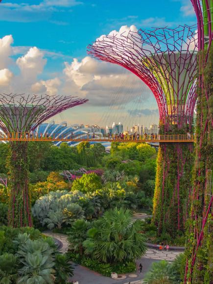 Gardens By The Bay