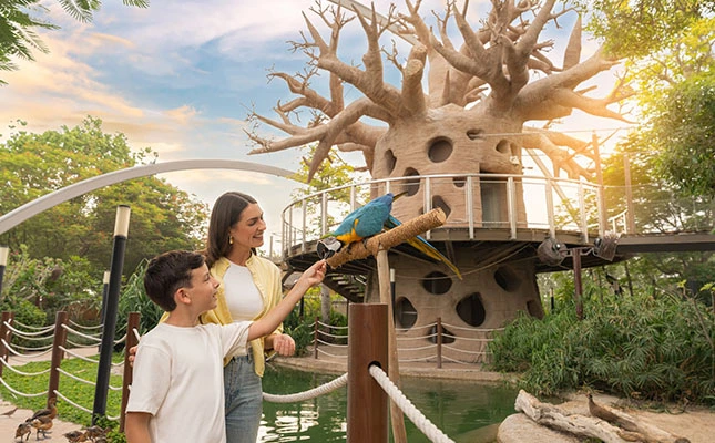 Birds Show at Dubai Safari Park