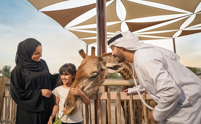 Live Shows at Dubai Safari Park