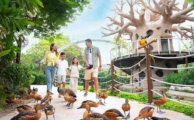 Family walking through a bird enclosure at Dubai Safari Park, surrounded by ducks and vibrant trees.