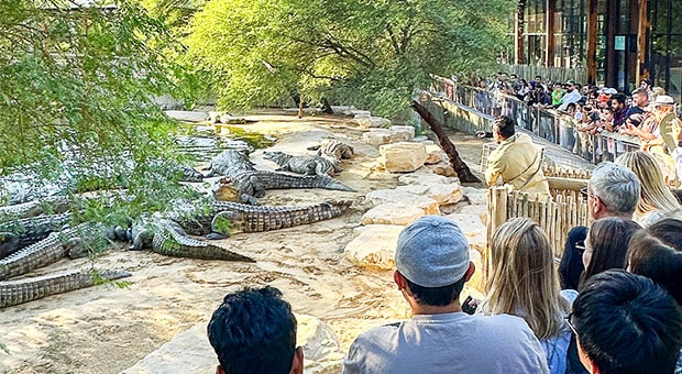 Crocodile Park Entry Ticket