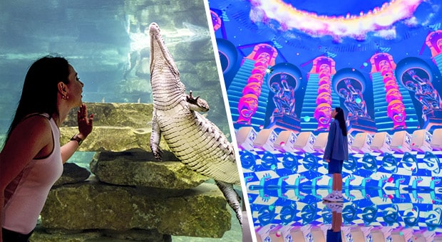 Book Dubai Crocodile Park and GET House Of Hype for only AED 100