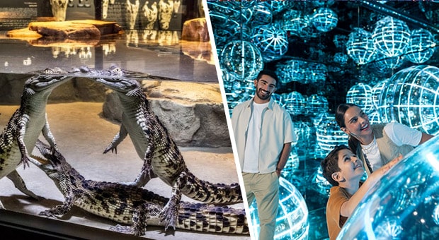 Book Dubai Crocodile Park and GET AYA Universe for only AED 86