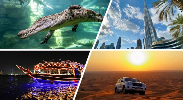 Dubai Crocodile Park with Dubai Standard Trio Package