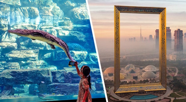 Book Crocodile Park and GET Dubai Frame for only AED 40