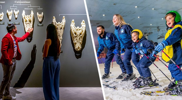 Book Dubai Crocodile Park and GET Ski Dubai for only AED 190