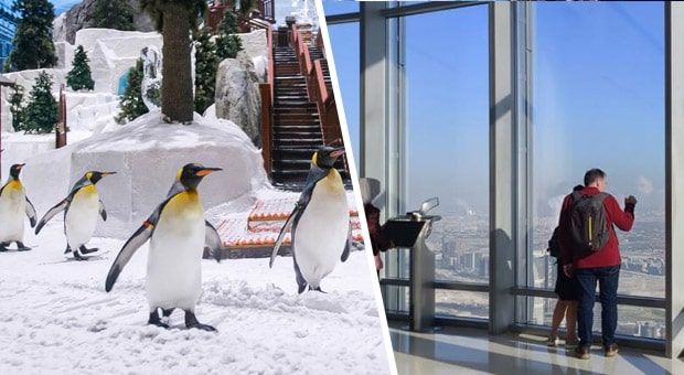 Book Ski Dubai & GET Burj Khalifa