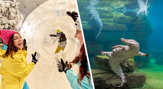 Book Ski Dubai & GET Crocodile Park