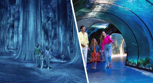 Teamlab Phenomena with The National Aquarium Abu Dhabi